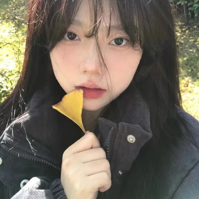 孤独的美食家 第十季
