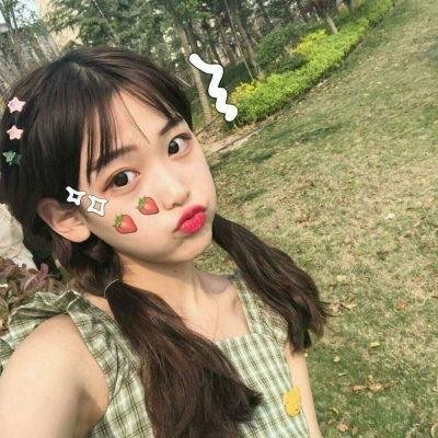 肥猫寻亲记